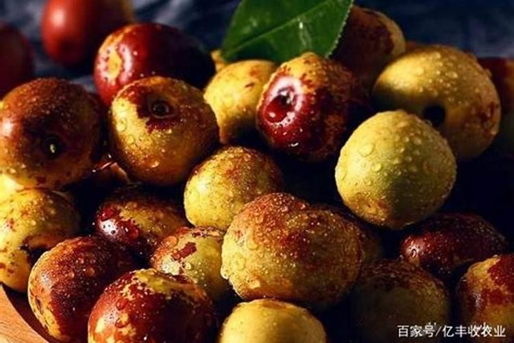 冬枣用什么肥料果实更甜 施肥方法有哪些