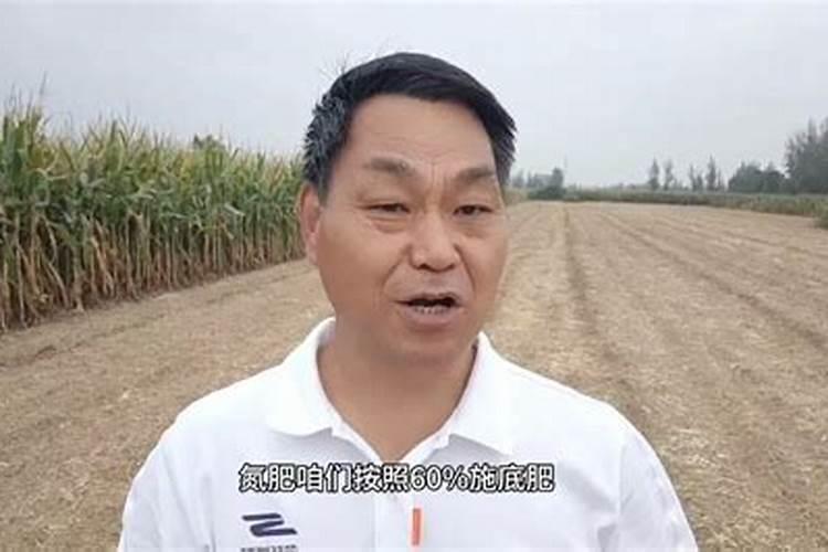 小麦底肥用尿素可以吗 尿素的主要成分是什么