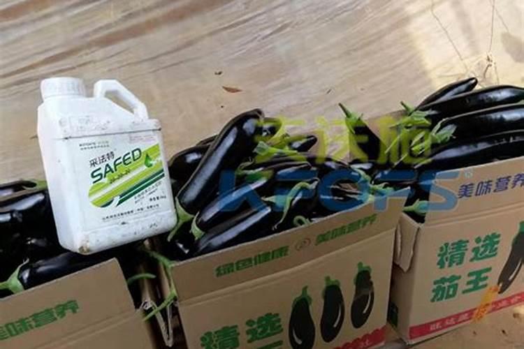 茄子膨果期可以用高钾肥吗？