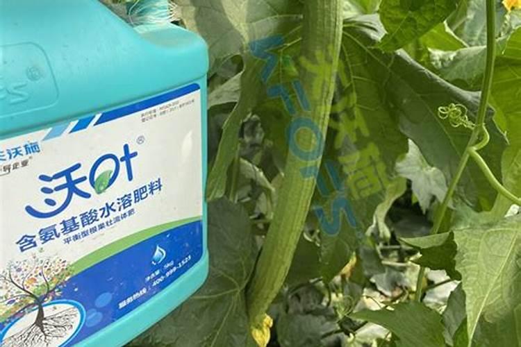 国内的好水溶肥厂家有哪些？