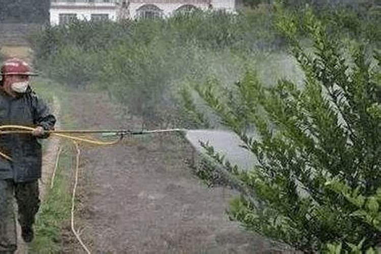 看了德国的农业,我才知道什么才是差距