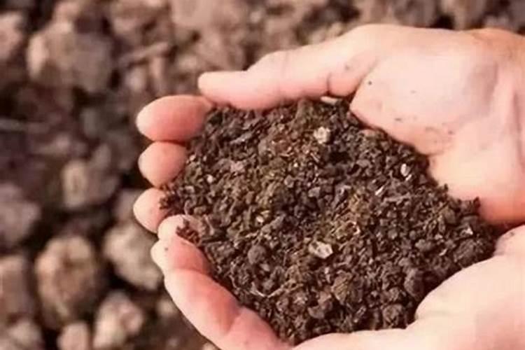 amd显卡品牌一线二线三线