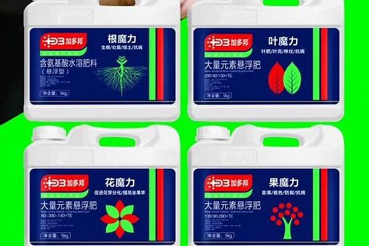 月季肥害症状和处理办法
