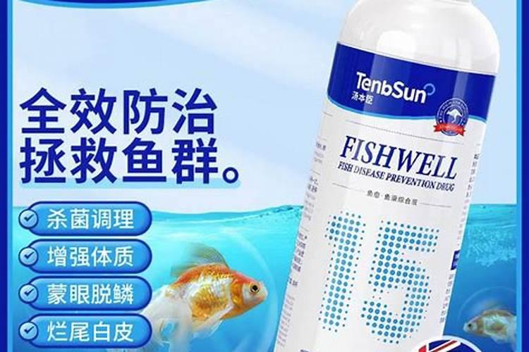 果蔬粉是什么做成的