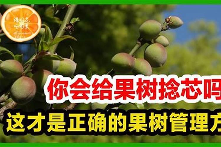 玉米控释肥用法;下大雨之后播种玉米是否还需要浇水？