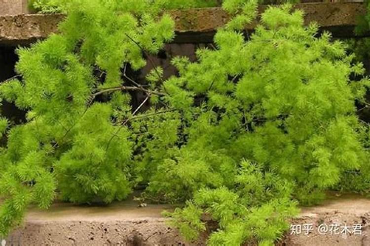 今天是富勤财富兑付第四次了你们回钱了吗？