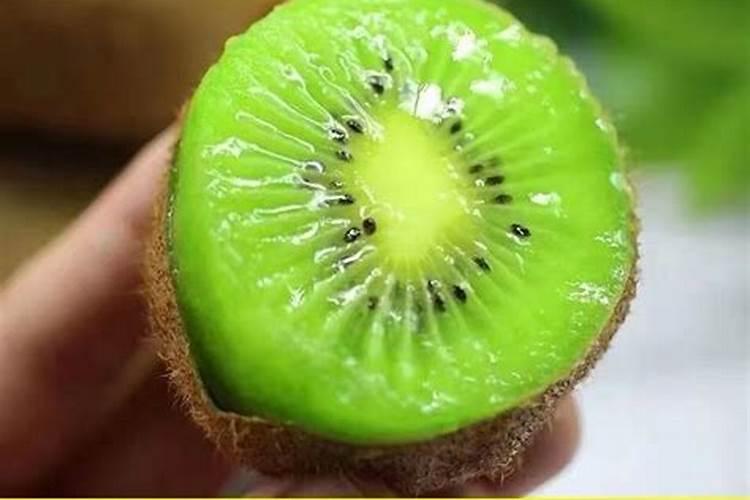 猕猴桃怎么种植方法和管理