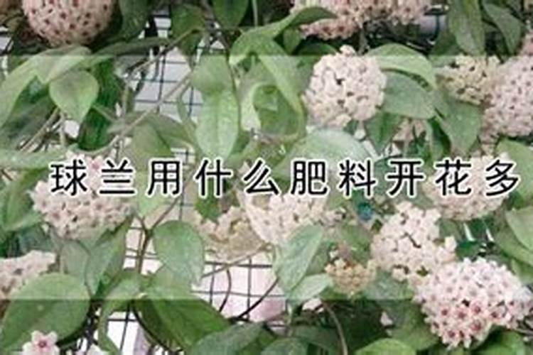 矿源黄腐酸钾怎么区分好坏？使用矿源有什么效果？能和其他肥料混用吗百 ...