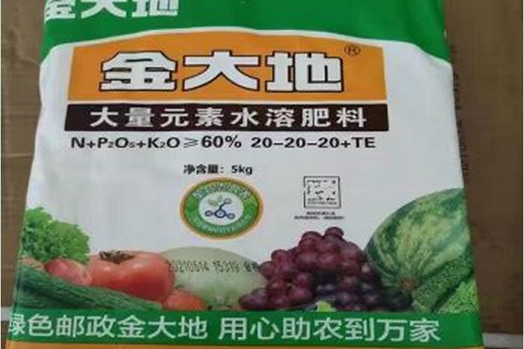 钾肥的最佳使用时间