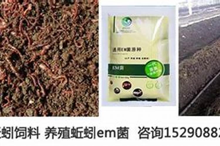 蚯蚓肥要沤多久 蚯蚓肥怎么沤？