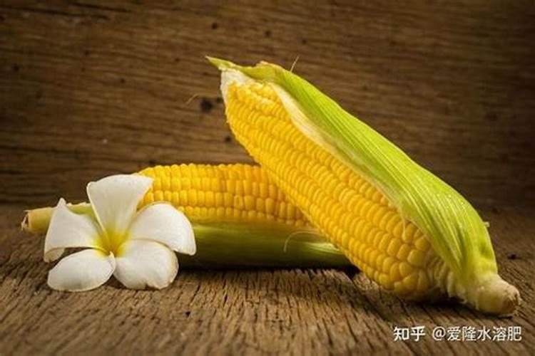 请教专家:这玉米得了什么病？