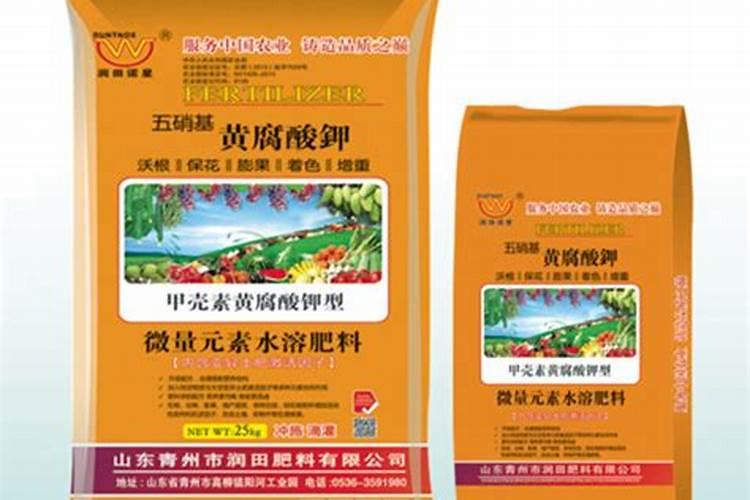 六月份可以买多肉吗？六月可以种多肉吗？