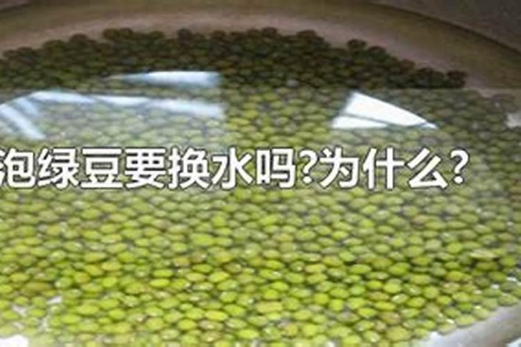 绿豆种植注意事项