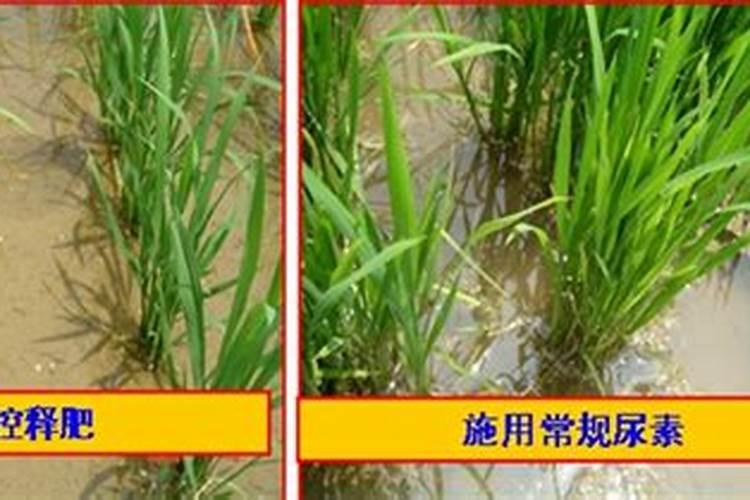 控释肥浇地能洒吗