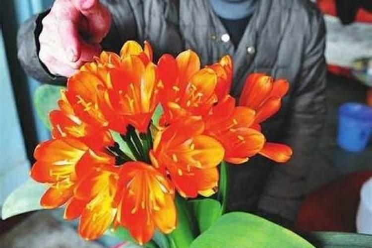 过期的植物油有啥妙用 过期的植物油用途