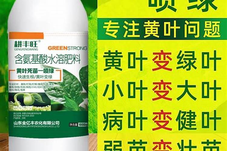 花草叶面肥多久喷一次 “植物叶面肥喷洒频率”