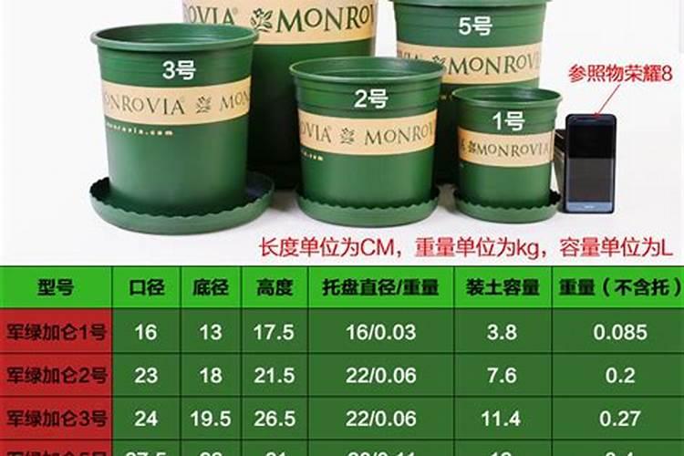 月季入盆后多少天可以施肥,月季服盆后多久可以施肥