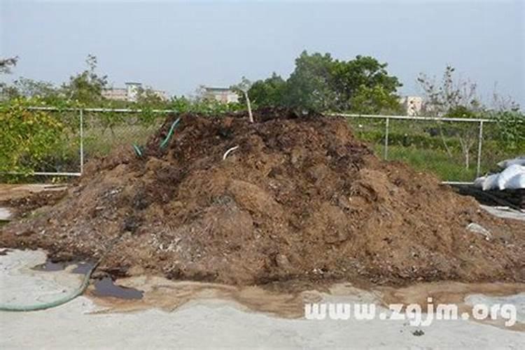 梦见化肥是什么预兆