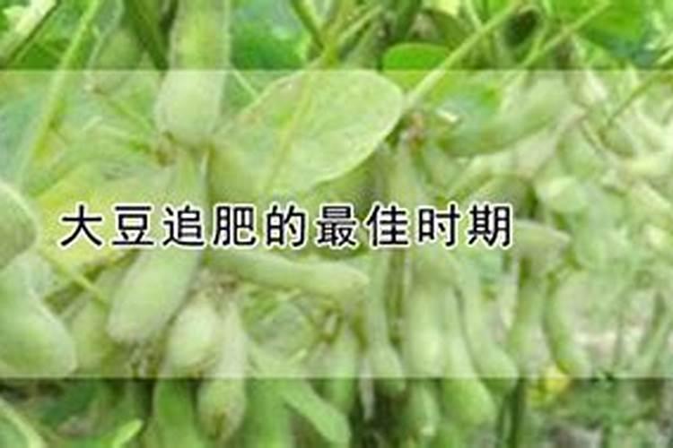 盆栽种菜如何自制肥料(盆栽种菜必备,自制肥料教程,绿色环保又高效...