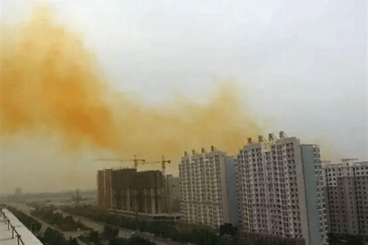 南雄特产有哪些土特产
