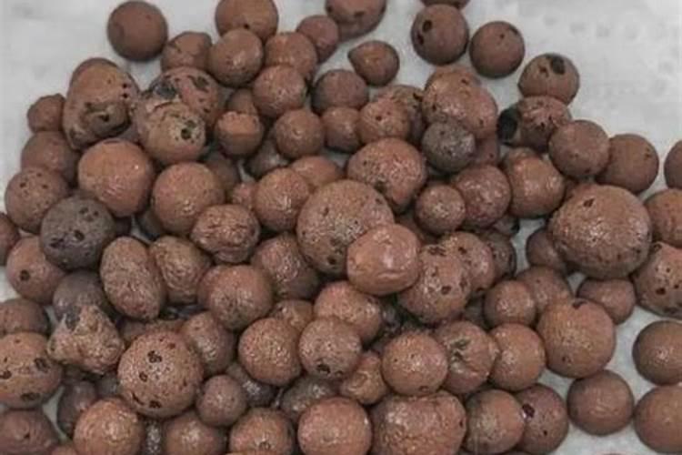 家里用什么可以做花肥花肥怎么施效果好