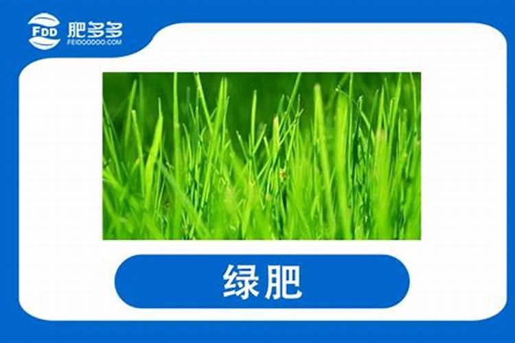 大面积的种植花生,必须给花生补充哪些元素呢？