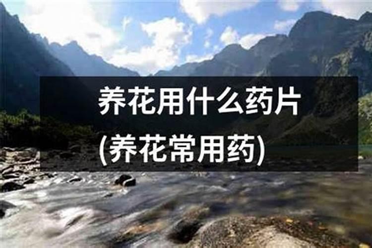 浇花水里加过期“小药片”,花骨朵嗖嗖长,比“花多多”好使!