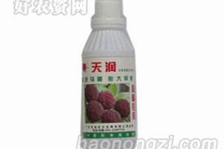 果树氮素过多会出现哪些症状？怎样防治？