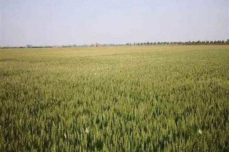 富莎床垫是品牌吗？