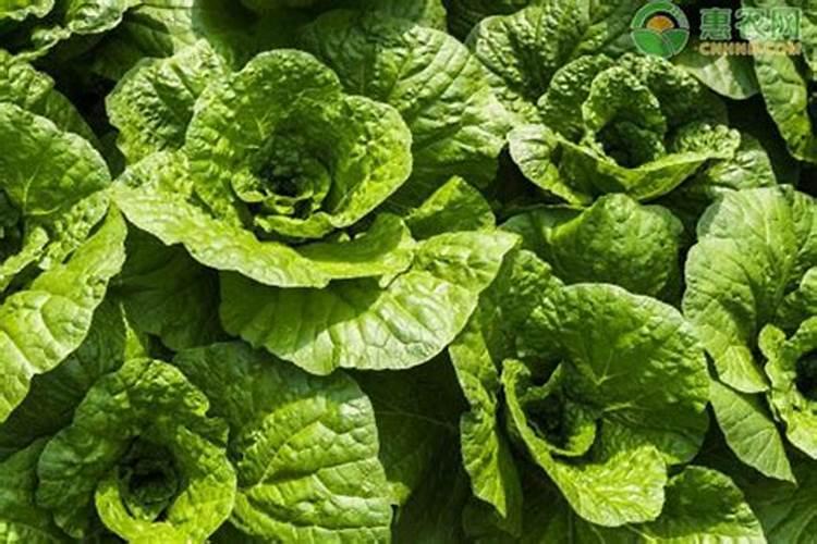 肥料登记备案管理办法肥料登记备案