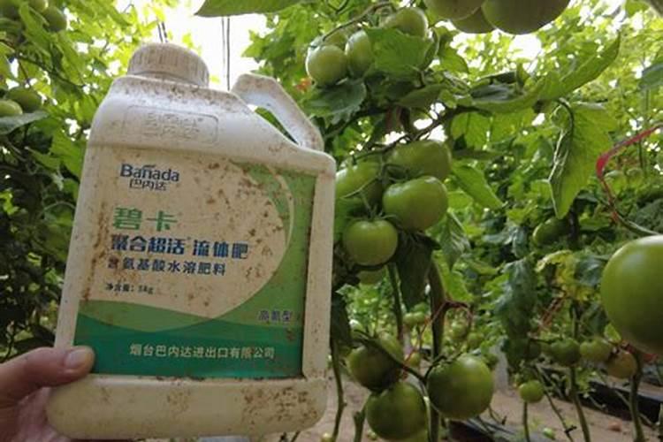 水溶肥可以撒施吗
