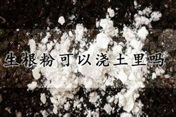 生根粉直接撒土里浇水行吗生根粉是肥料吗