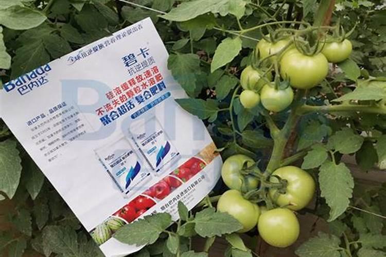 如何辨别水溶肥料的好坏
