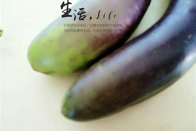 茄子如何快速膨果