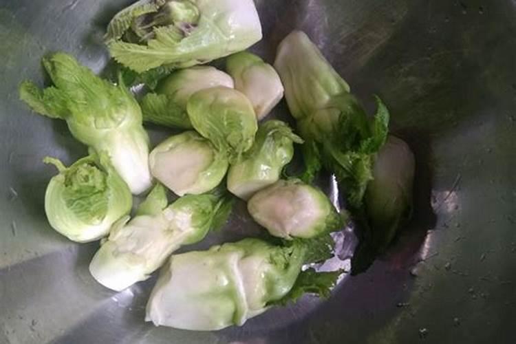 折茸根怎么种的？