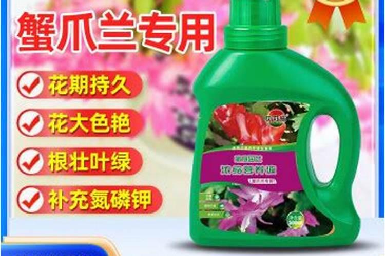 兰灵王对兰花的作用和用法