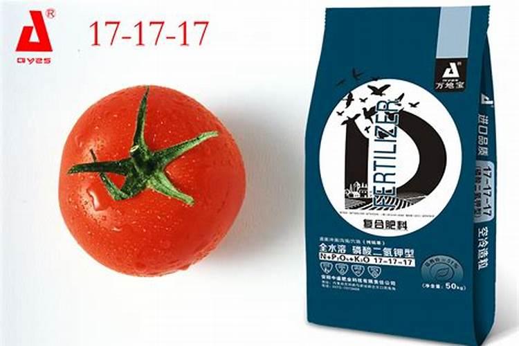 番茄施什么肥料最好