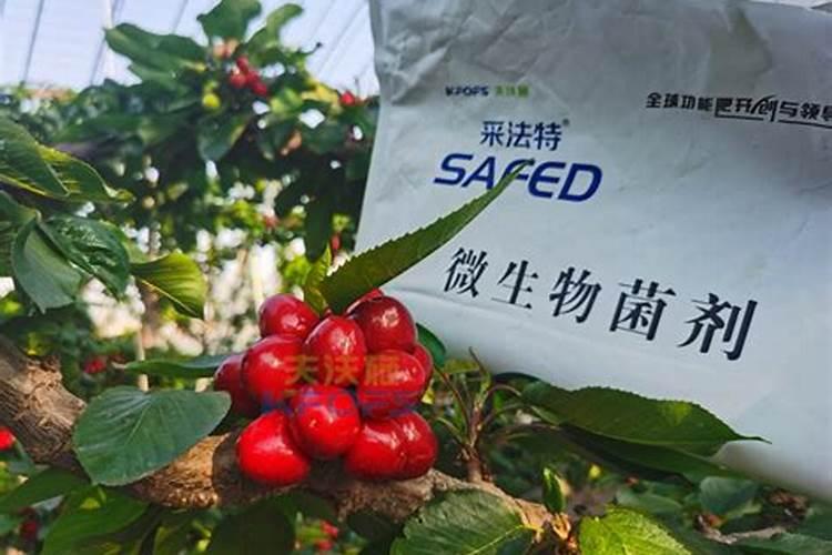 利用空气水焦炭食盐用化学式表示工业生产纯碱碳铵和硝铵的生产过程