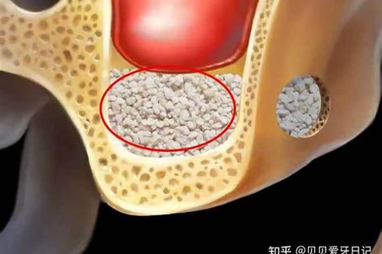 芋头苗相信大家都见过,芋苗的高产种植方法你知道吗？