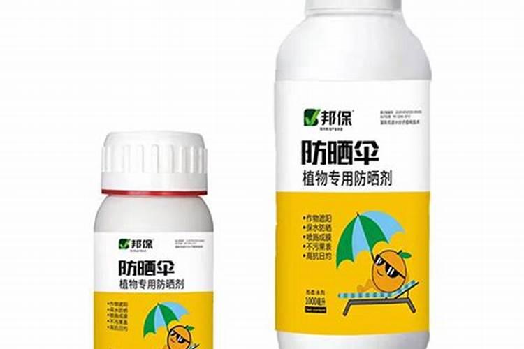隔离霜真的能防电脑辐射吗？和防晒霜有什么区别？