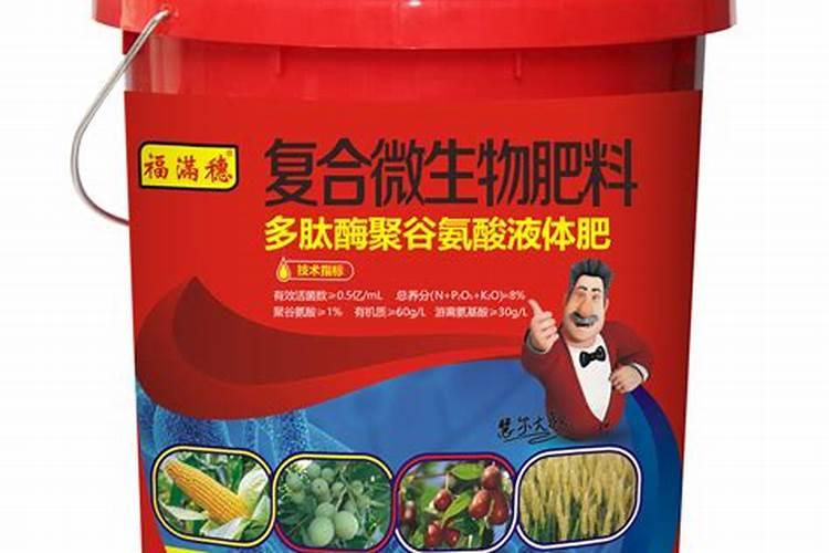 马蹄种植方法