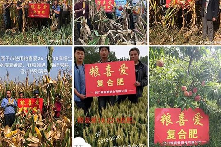 高塔硝硫基复合肥效果如何 高塔硝硫基复合肥的特点