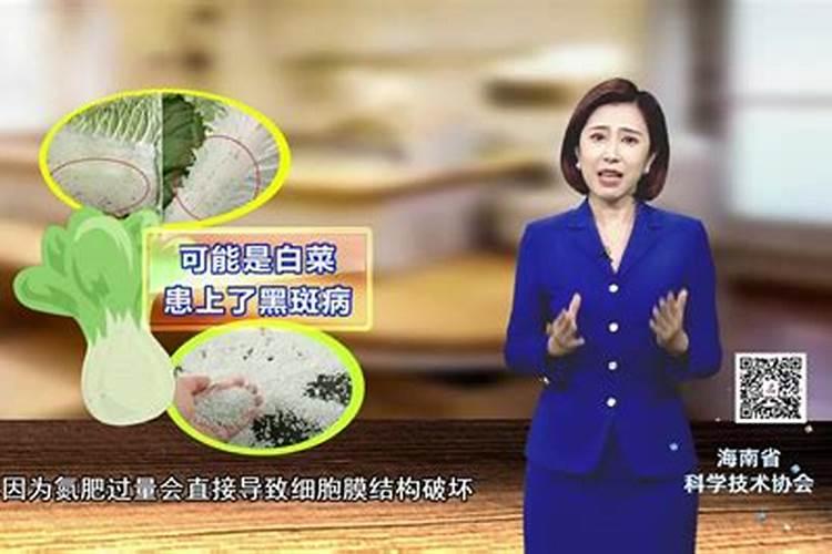 蔬菜可以施用硝态氮肥吗？