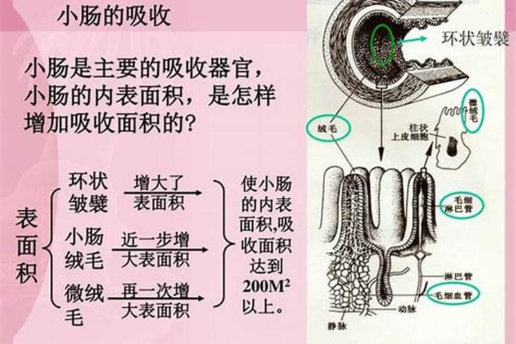 大量元素水溶肥的作用与功效