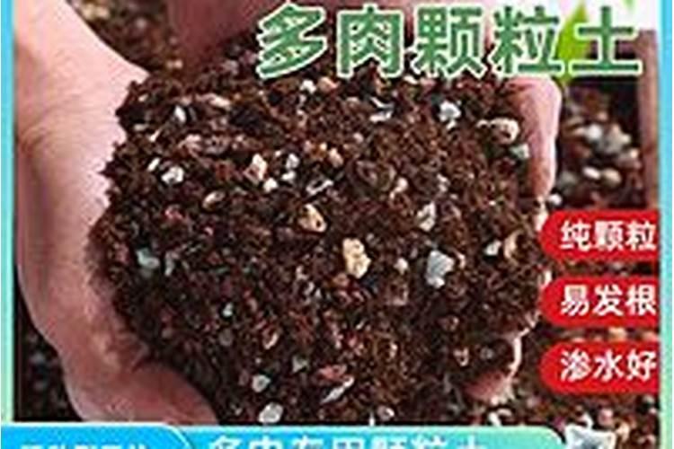 硫酸亚铁使用方法有哪些 4个方法助你养花