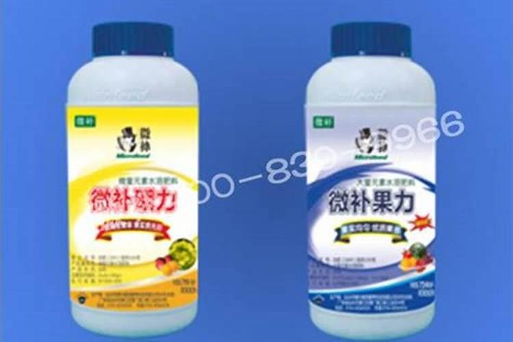 生菜缺硼症状