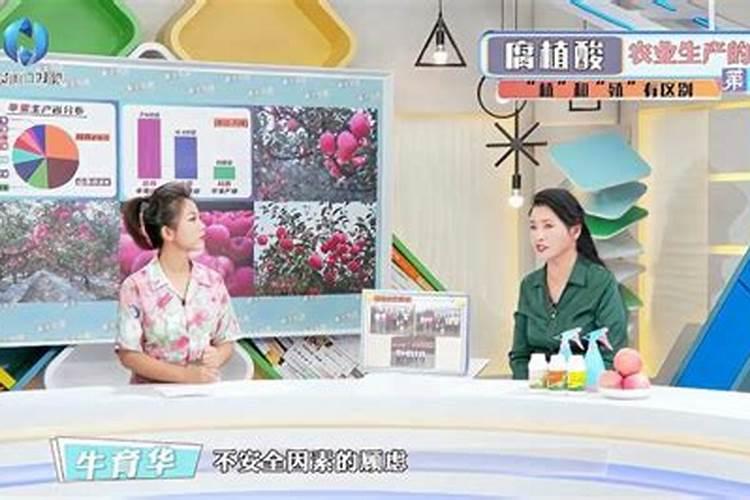 杜鹃花怎么养