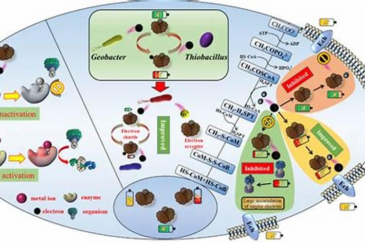 养花的土壤应该怎么处理？