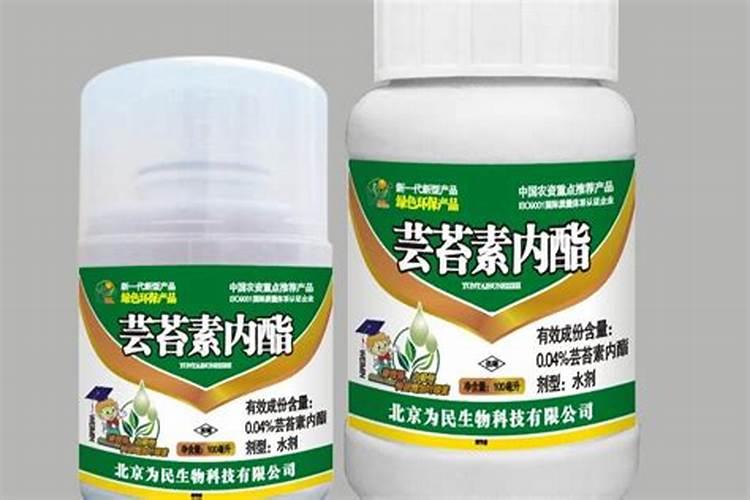 土栽大蒜的方法