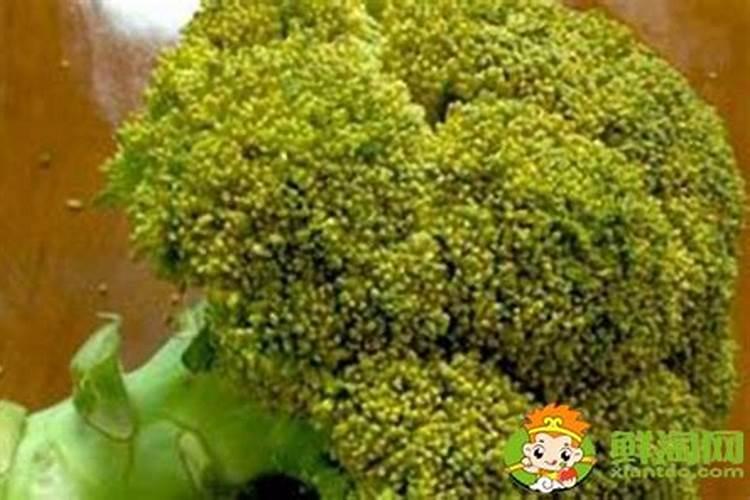 黄腐酸钾水溶肥有什么作用？主要功效是什么？